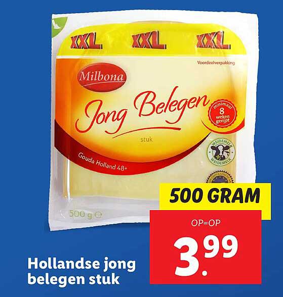 Hollandse jong belegen stuk