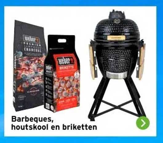 Barbeques, houts kool en briket ten