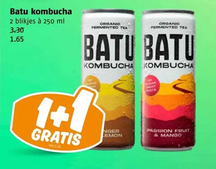 Batu Kombucha 2 blikjes à 250 ml