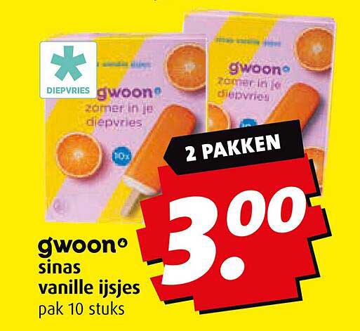 gwoon sinaasappel vanille ijsjes pak 10 stuks