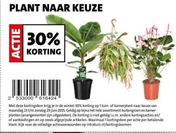 PLANT NAAR KEUZE