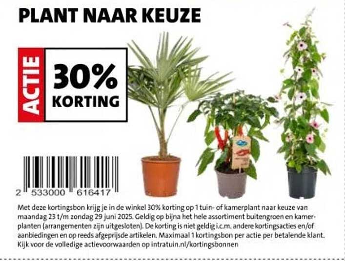 PLANT NAAR KEUZE