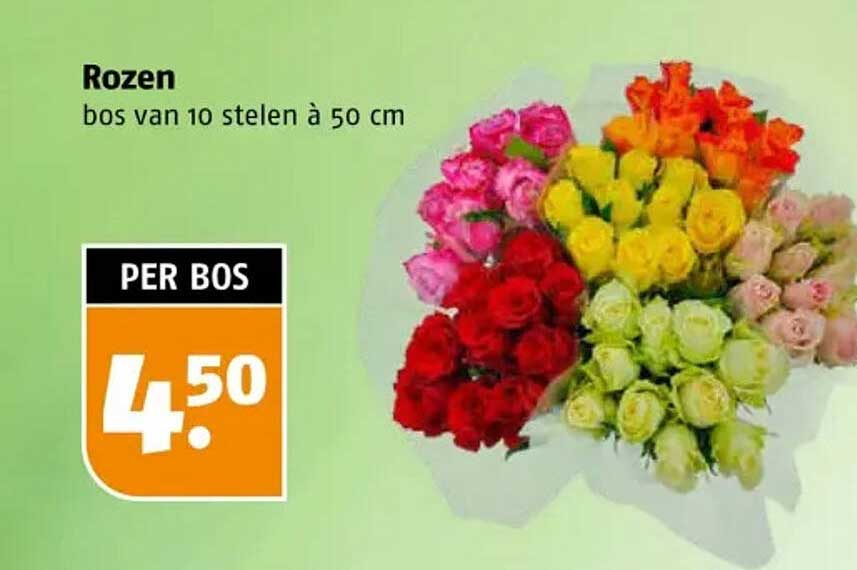 Rozen bos van 10 stelen à 50 cm