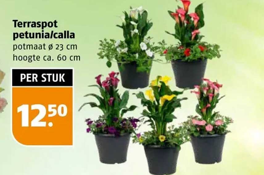 Terraspot petunia/calla potmaat ø 23 cm
