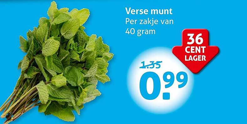 Verse munt, Per zakje van 40 gram