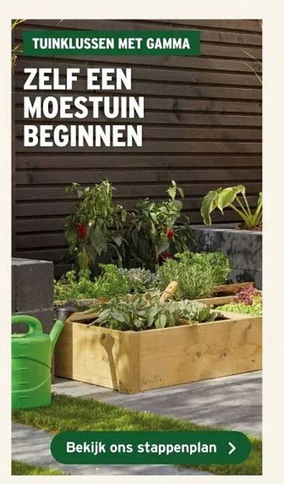 Zelf een moestuin beginnen