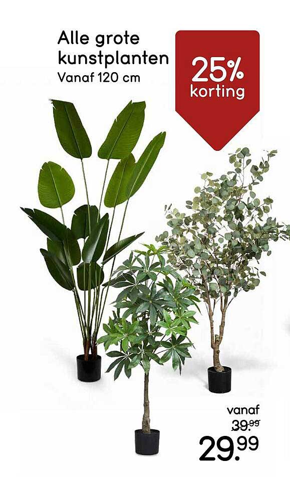 Alle grote kunstplanten Vanaf 120 cm 25% korting