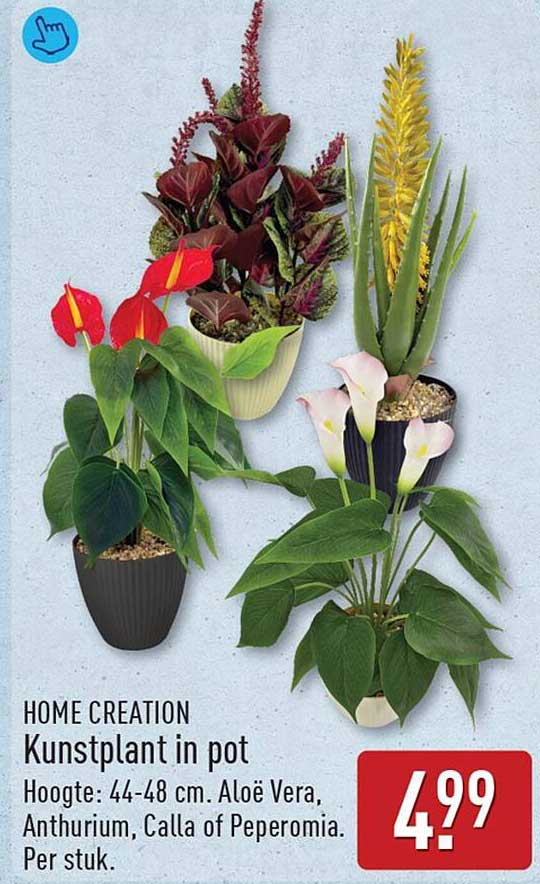 HOME CREATION Kunstplant in pot Hoogte: 44-48 cm. Aloë Vera, Anthurium, Calla of Peperomia. Per stuk.