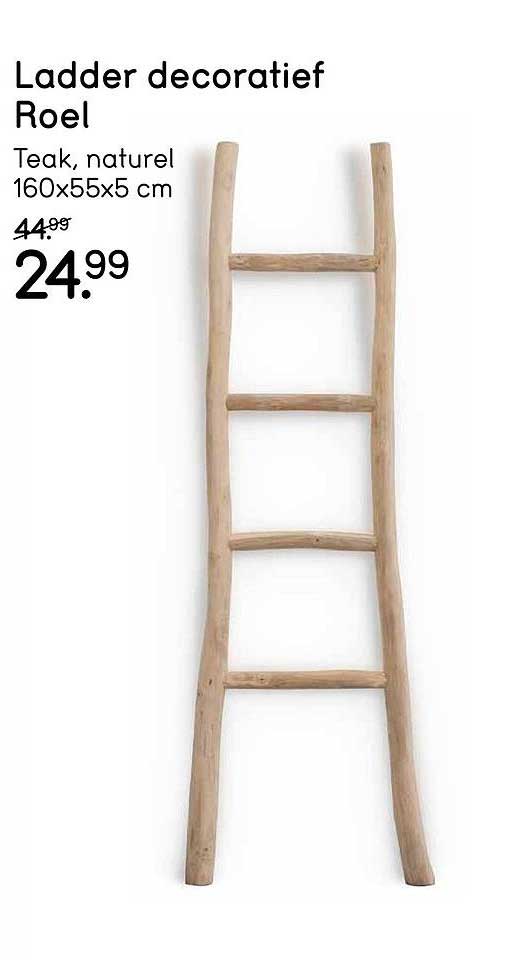 Ladder decoratief Roel