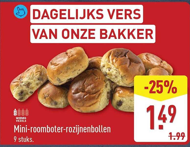 Mini-roomboter-rozijnenbollen 9 stuks -25%