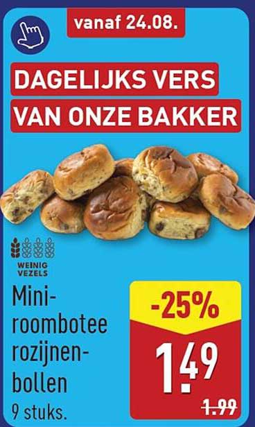 Mini-roombottee rozijnen-bollen 9 stuks -25%