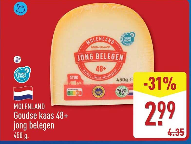 MOLENLAND Goudse kaas 48+ jong belegen 450 g