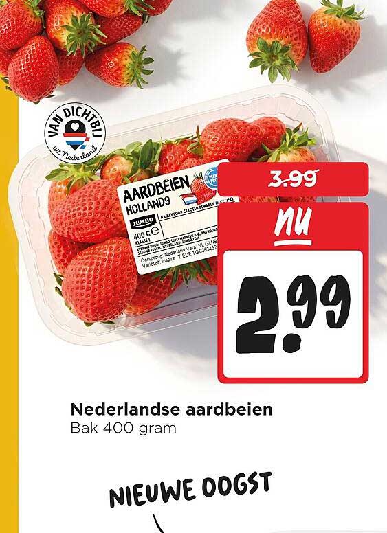 Nederlandse aardbeien Bak 400 gram NIEUWE OOGST