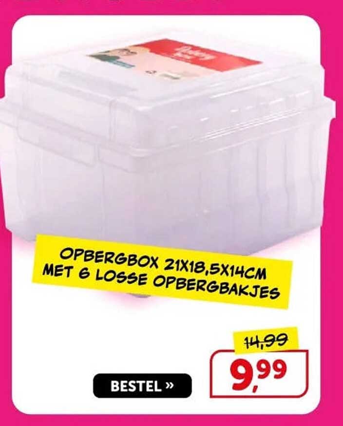 OPBERGBOX 21X18,5X14CM MET 6 LOSSE OPBERGBAKJES