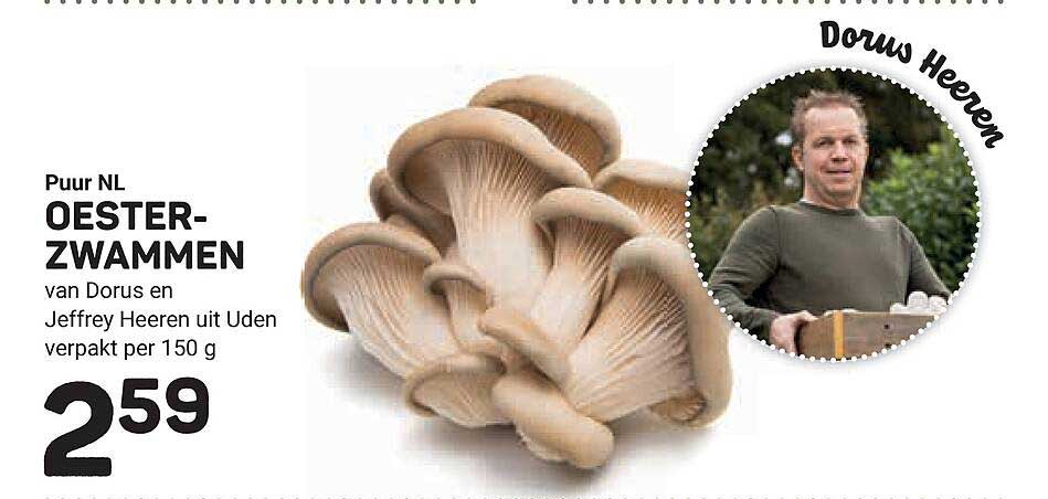 Puur NL OESTER-ZWAMMEN van Dorus en Jeffrey Heeren uit Uden verpakt per 150 g