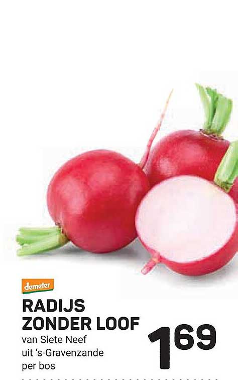 RADIJS ZONDER LOOF