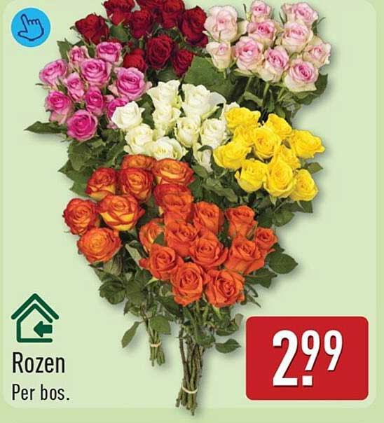 Rozen