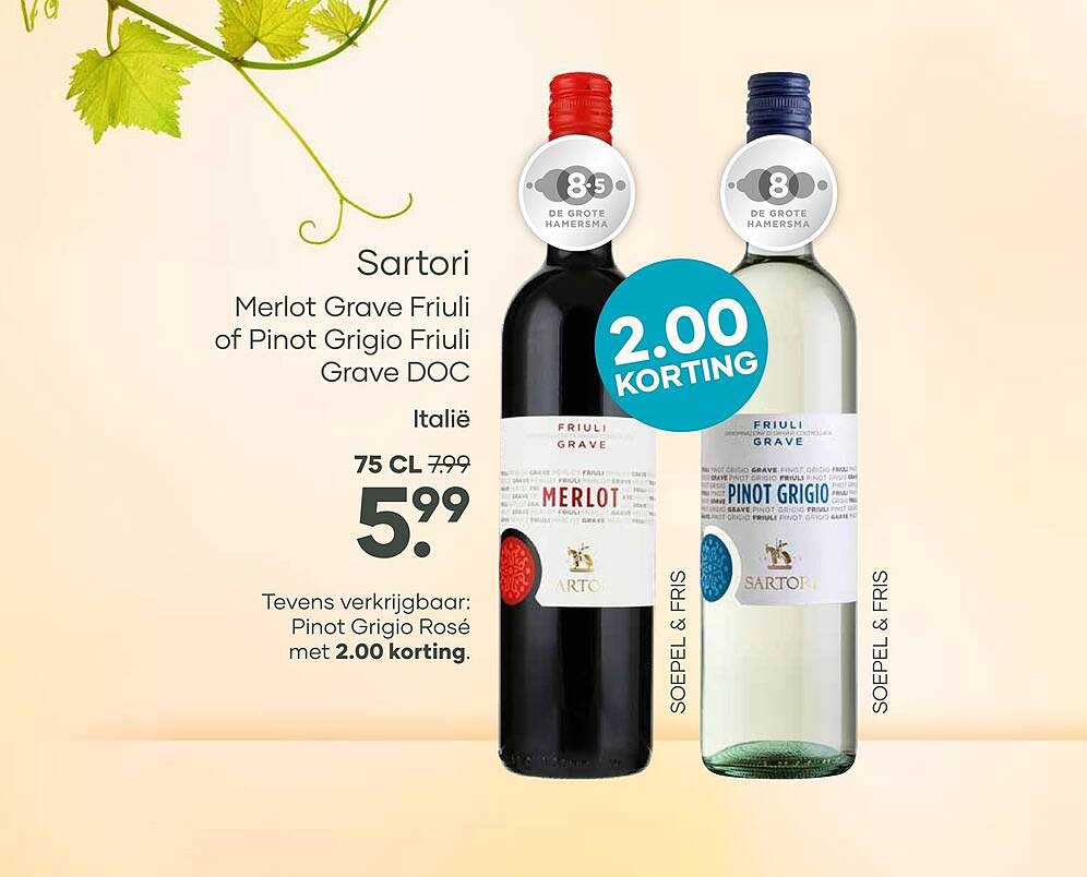 Sartori Merlot Grave Friuli of Pinot Grigio Friuli Grave DOC 2.00 korting