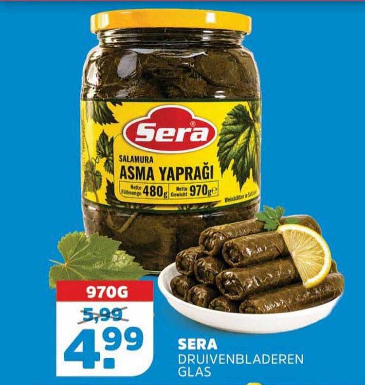 SERA DRUIVENBLADEREN GLAS