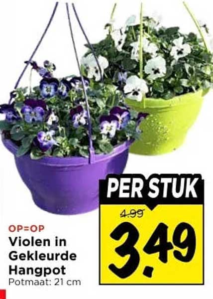 V i o l e n  in Gekleurde Hangpot PER STUK