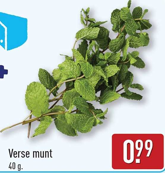 Verse munt