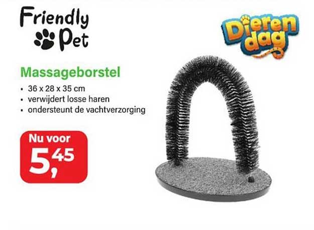 Massageborstel