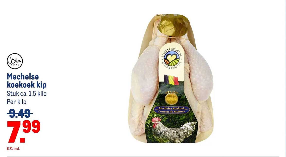 Mechelse koekoek kip