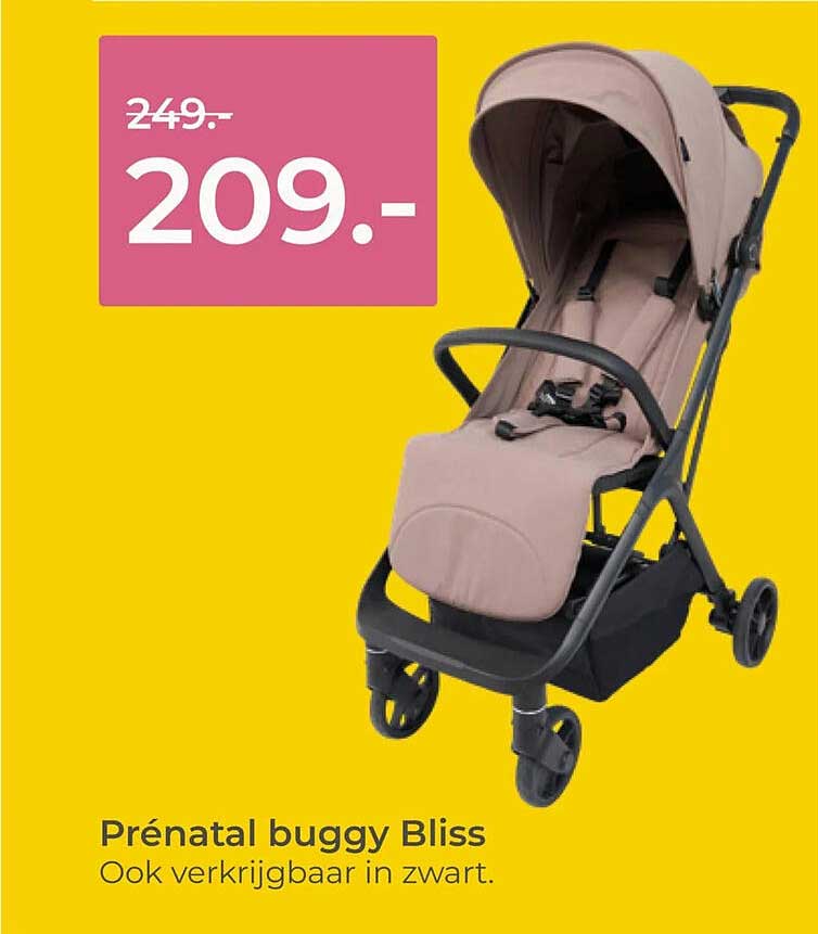 Prénatal buggy Bliss