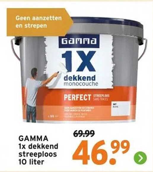 GAMMA 1x dekkend streeploos 10 liter