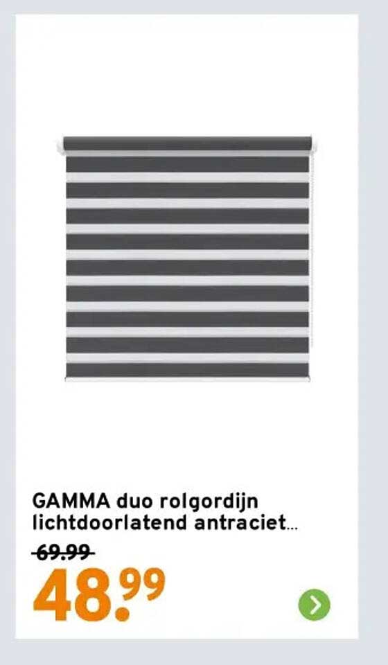 GAMMA duo rolgordijn lichtdoorlatend antraciet