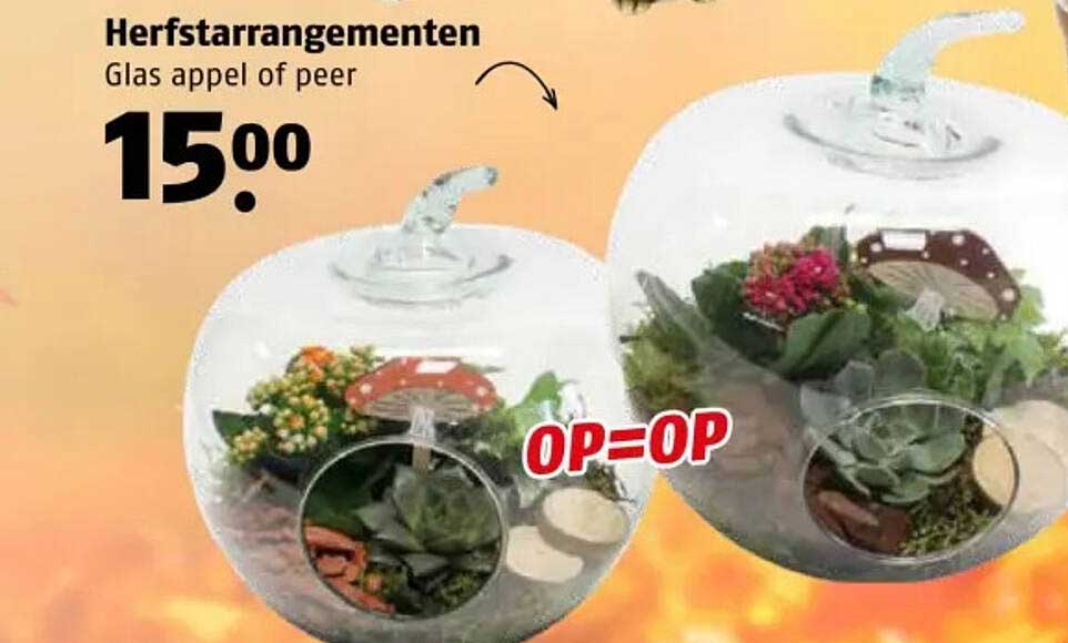 Herfstarrangementen
Glas appel of peer