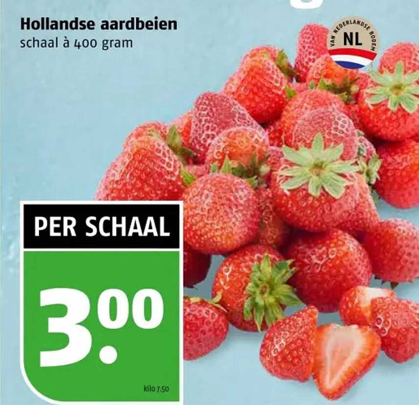 Hollandse aardbeien schaal à 400 gram