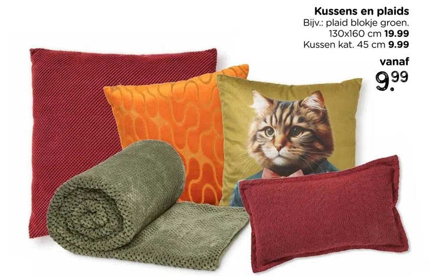 Kussens en plaids