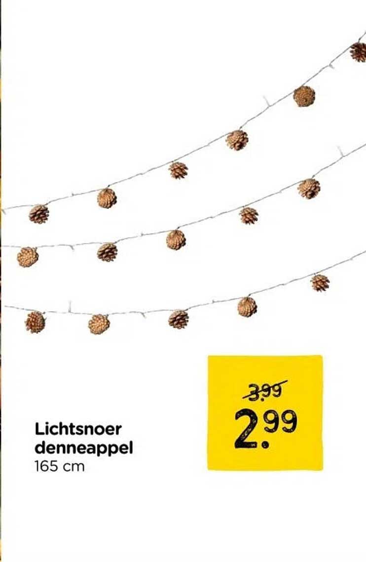 Lichtsnoer dennenappel 165 cm