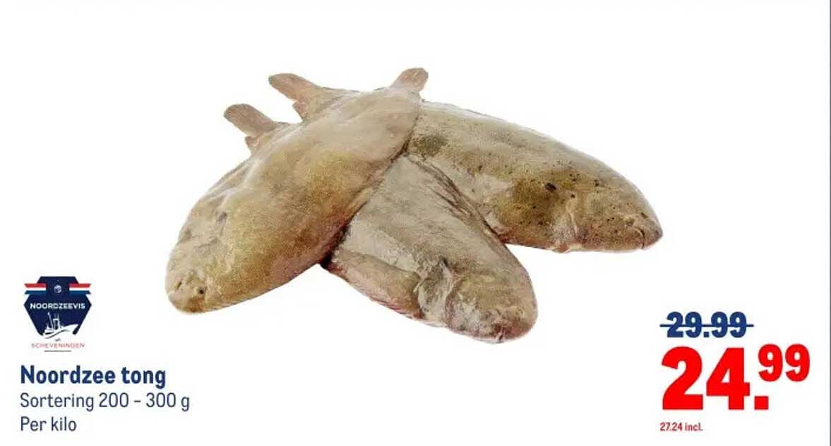 Noordzee tong