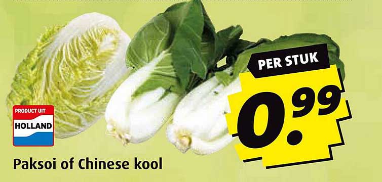 Paksoi of Chinese kool