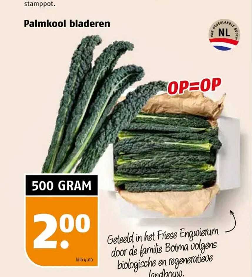 Palmkool bladeren