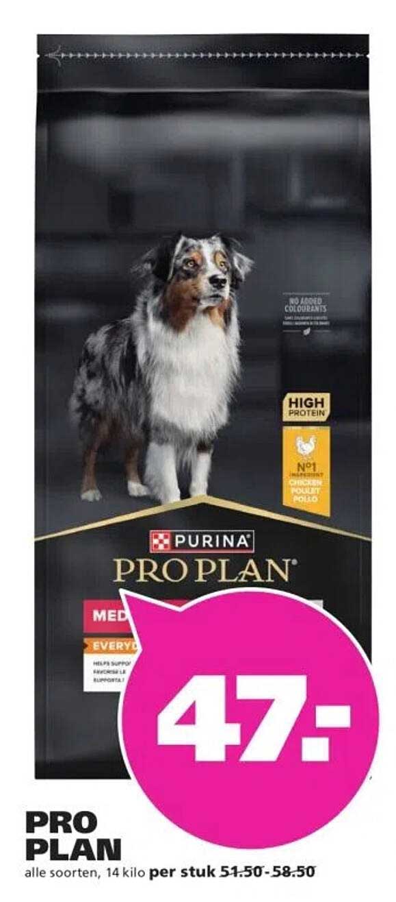 PRO PLAN