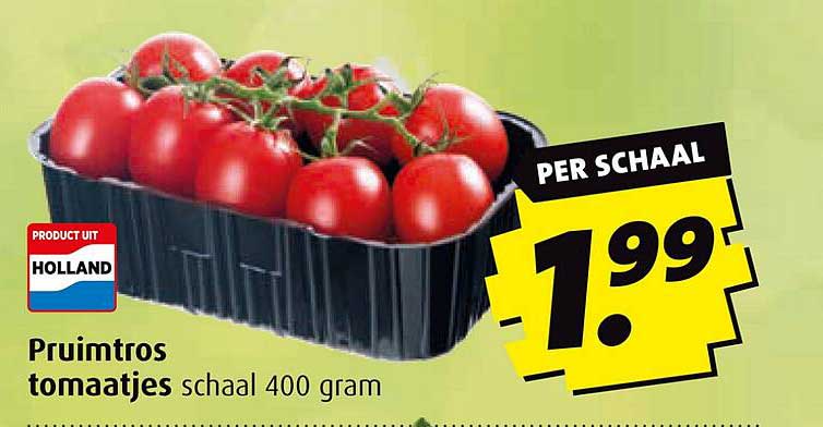 Pruimtros tomaatjes schaal 400 gram
