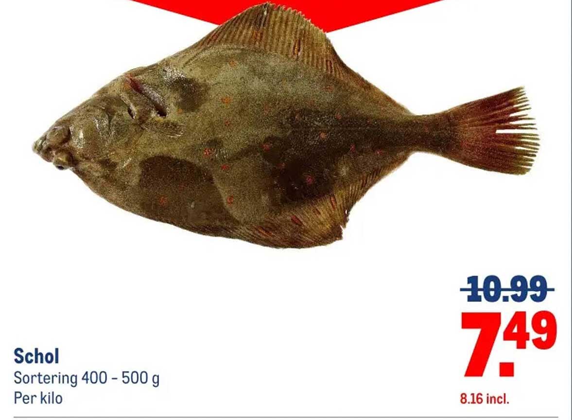 Schol Sorting 400 - 500 g