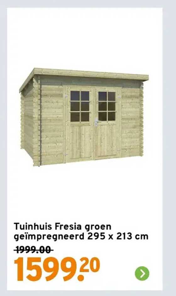 Tuinhuis Fresia groen geïmpregneerd 295 x 213 cm