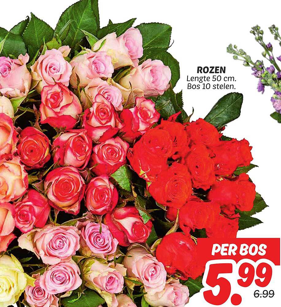 ROZEN