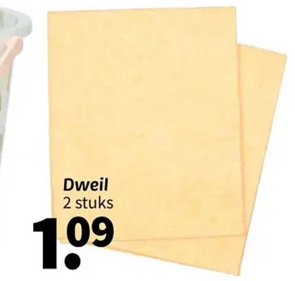 Dweil 2 stuks