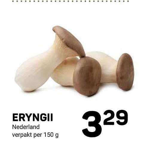 ERYNGII