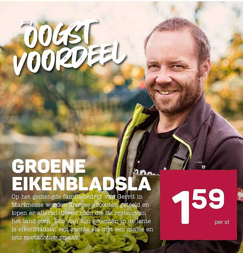 Groene eikenbladsla