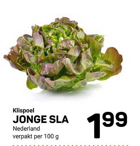 JONGE SLA
