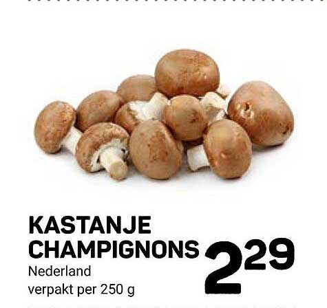 KASTANJE CHAMPIGNONS