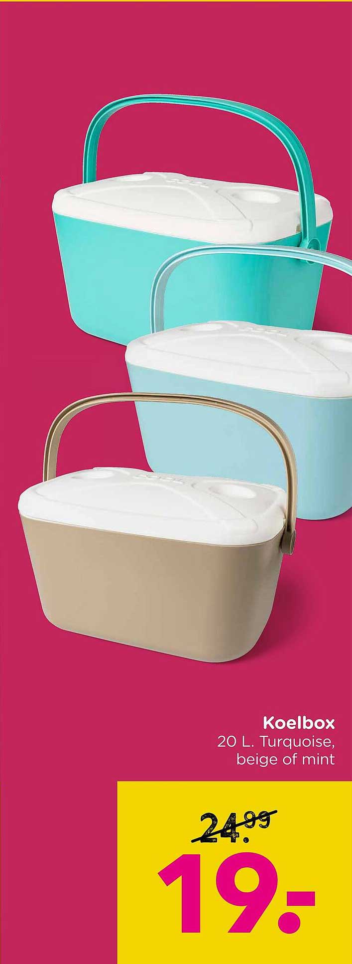 Koelbox 20 L. Turquoise, beige of mint