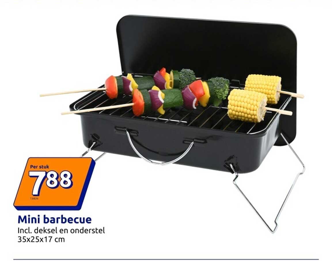 Mini barbecue