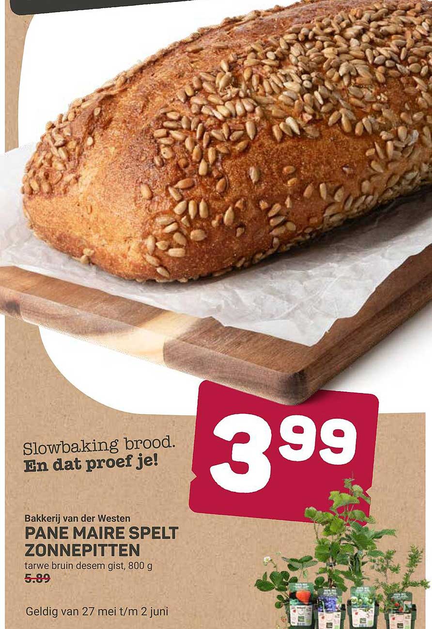 PANE MAIRE SPELT ZONNEPITTEN